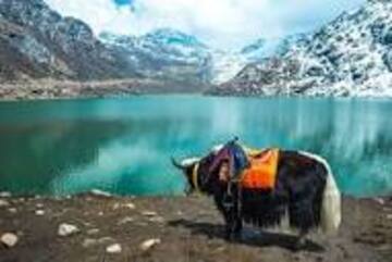 images/gangtok1.jpg